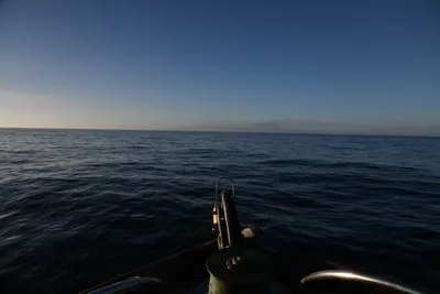 DSC_6587 (Large).JPG